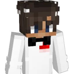 _Suki_ Minecraft avatar bust