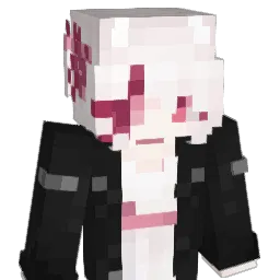 _Swidex Minecraft avatar bust