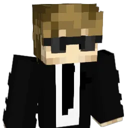 _Swift904_ Minecraft avatar bust