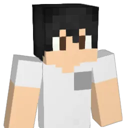 _Swix_ Minecraft avatar bust