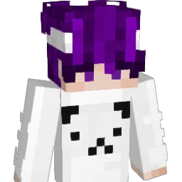 _The__Amir_'s Minecraft skin