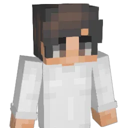 _Tolk_ Minecraft avatar bust