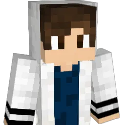 _Trentin_ Minecraft avatar bust