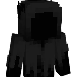 _V0ID1