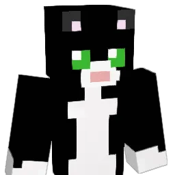 _WarriorCat_ Minecraft avatar bust