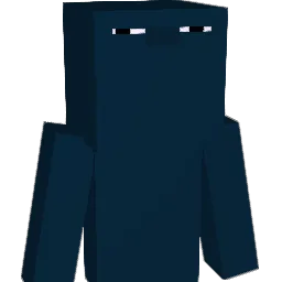 _Whit3Playz_ Minecraft avatar bust