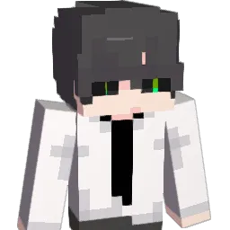 _WinterUR_ Minecraft avatar bust