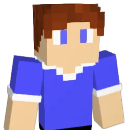 _WooKs_ Minecraft avatar bust