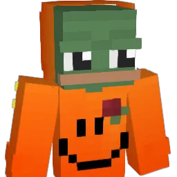 _Wook_ Minecraft avatar bust