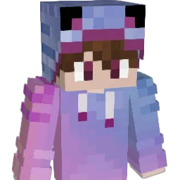 _Wubba_ Minecraft avatar bust
