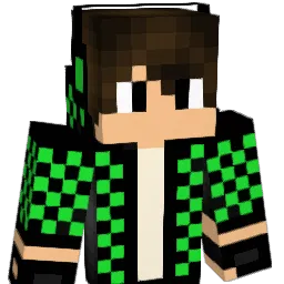 _XDome_GamerX_ Minecraft avatar bust