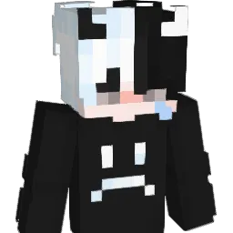 _XblackHoleX_ Minecraft avatar bust
