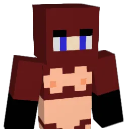 _Zenvix_