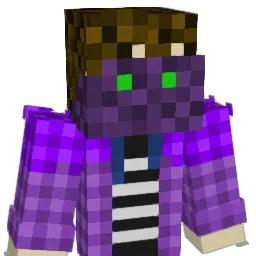 _Zeri_ Minecraft avatar bust
