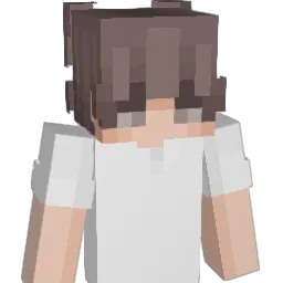 _ZeroDark Minecraft avatar bust