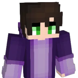 _ZiFlux_ Minecraft avatar bust
