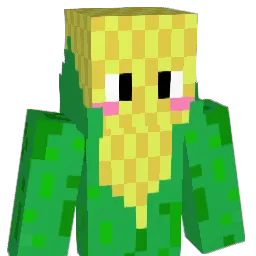 _Zur4ckGam3s_ Minecraft avatar bust