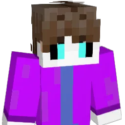 __China1989__ Minecraft avatar bust