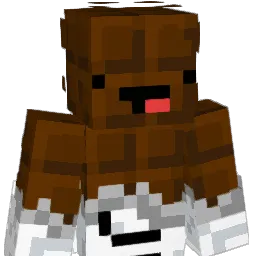 __D4__ Minecraft avatar bust