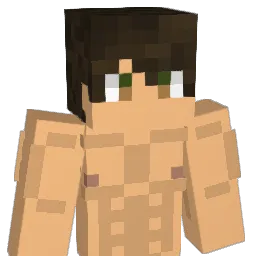 __Darey__ Minecraft avatar bust