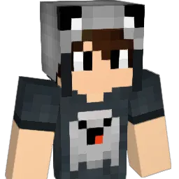 __Flash's Minecraft skin