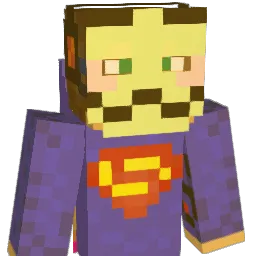 __HEROBRlNE__ Minecraft avatar bust