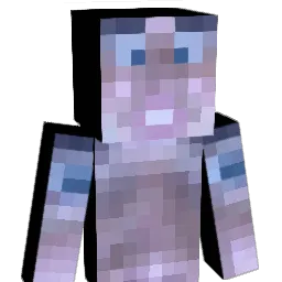 __NMD__ Minecraft avatar bust