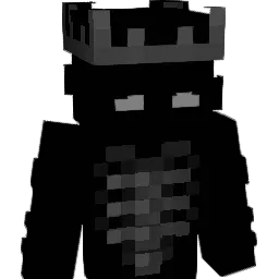 __PYsio__ Minecraft avatar bust