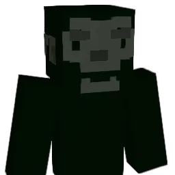 __Stein__