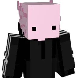___F1uxKitty Minecraft avatar bust