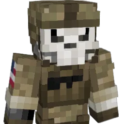 ___Skull__