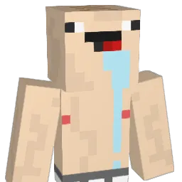 ______________y Minecraft avatar bust