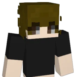 _____________con Minecraft avatar bust