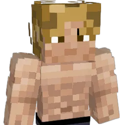 ____e____ Minecraft avatar bust
