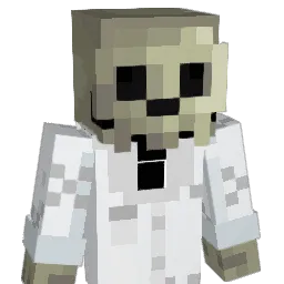 ____wo Minecraft avatar bust