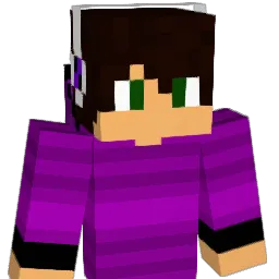 __aidan433__ Minecraft avatar bust