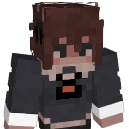 __d3rlord3___ Minecraft avatar bust