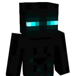 __leela___
