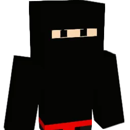 __n1njA__ Minecraft avatar bust