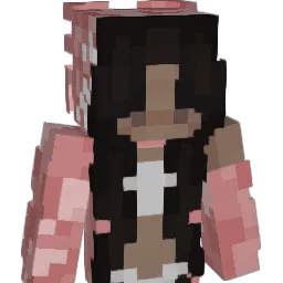 __nikccaa__ Minecraft avatar bust