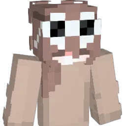 __nottsyke Minecraft avatar bust