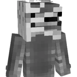 __unkown Minecraft avatar bust
