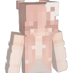 _arrozconleche_ Minecraft avatar bust