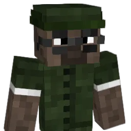 _binsniff Minecraft avatar bust