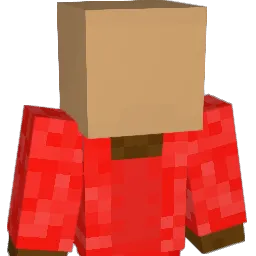 _blksn Minecraft avatar bust