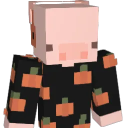 _broomstick_ Minecraft avatar bust