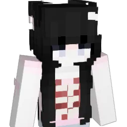 _btc Minecraft avatar bust
