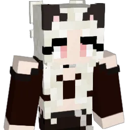 _fonley_ Minecraft avatar bust