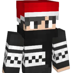 _iTomer_ Minecraft avatar bust