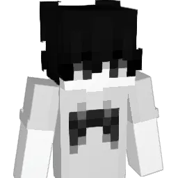 _idk1100 Minecraft avatar bust